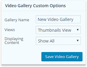wp-video-gallery-custom-options