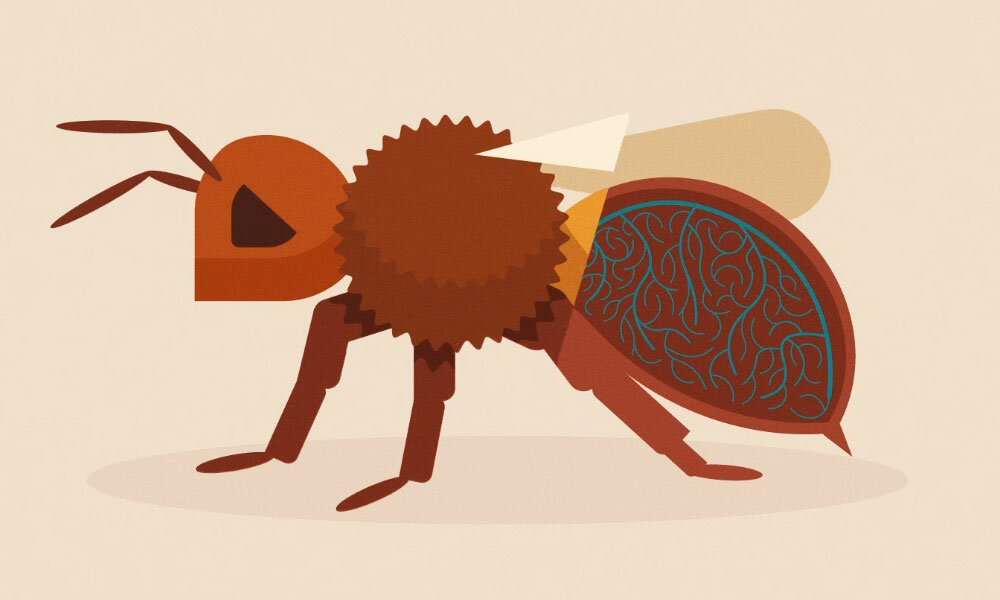 The Death Of Bees Explained
